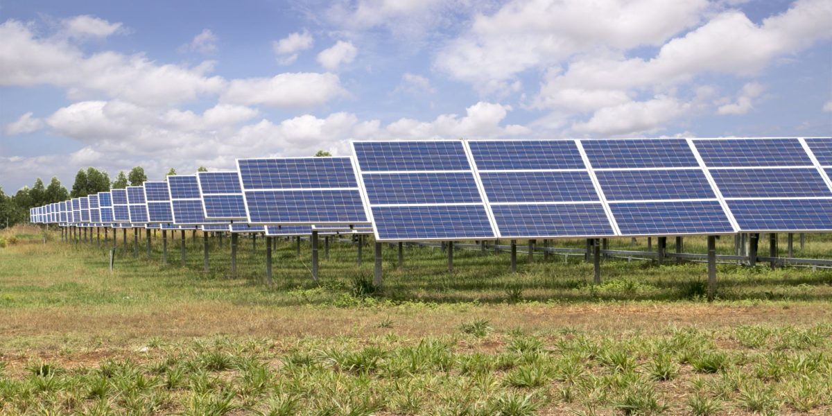 Nou investitor aduce în România cea mai mare afacere a sa, anunțul momentului