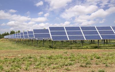 Nou investitor aduce în România cea mai mare afacere a sa, anunțul momentului