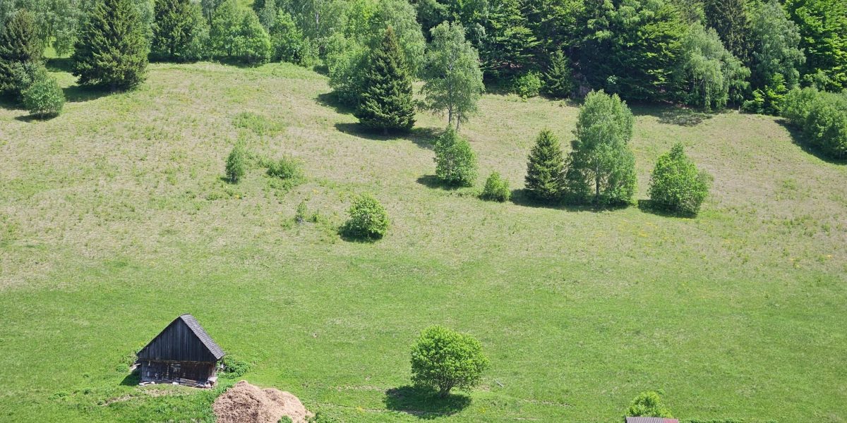 Vremea în România: Ce ne așteaptă în următoarele două săptămâni, regiune cu regiune