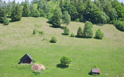 Vremea în România: Ce ne așteaptă în următoarele două săptămâni, regiune cu regiune