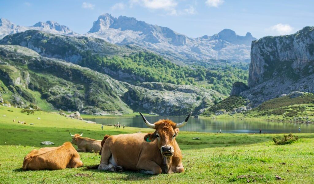 Locul european PARADISIAC, necunoscut: Declarat cel mai frumos din LUME, ca-n povești