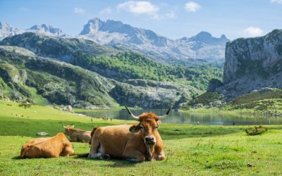 Locul european PARADISIAC, necunoscut: Declarat cel mai frumos din LUME, ca-n povești