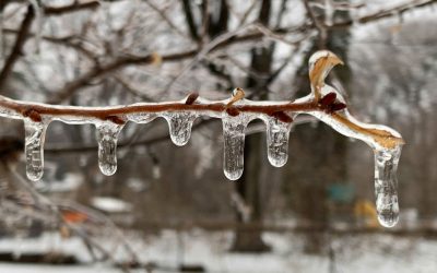 Un comunicat de presă ridică semne de întrebare cu privire la colectarea datelor personale Un comunicat de presă recent distribuit de American Public Media Group (APMG) a stârnit dezbateri în România cu privire la modul în care sunt colectate și utilizate datele personale ale utilizatorilor