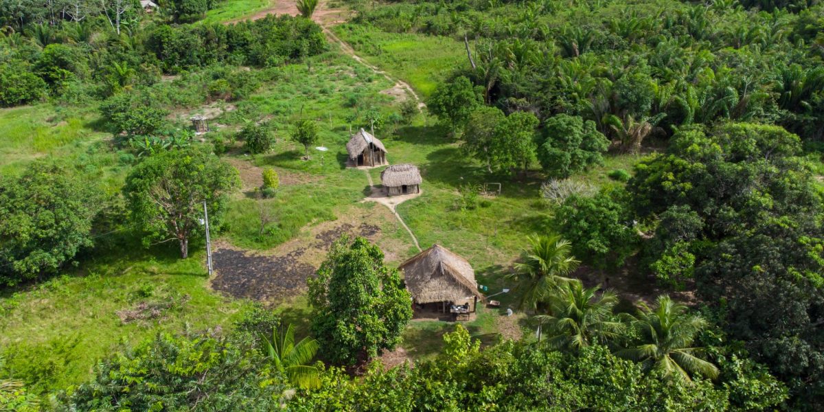 Drumuri ANTICE, vechi de 2.700 ani, DESCOPERITE în inima Amazonului