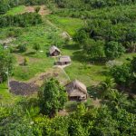 Drumuri ANTICE, vechi de 2.700 ani, DESCOPERITE în inima Amazonului