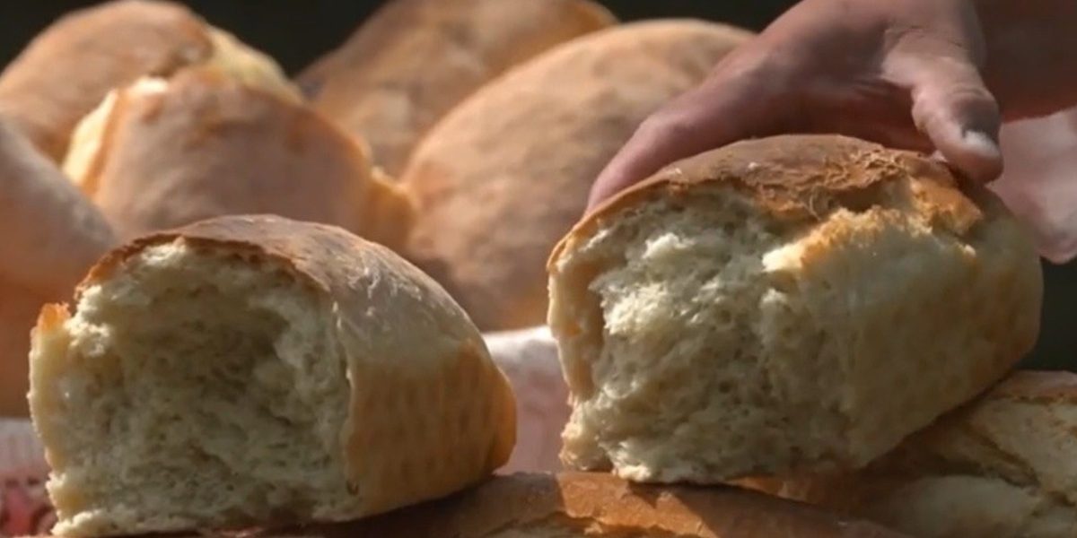 Banatul, regiune gastronomică EUROPEANĂ în 2028