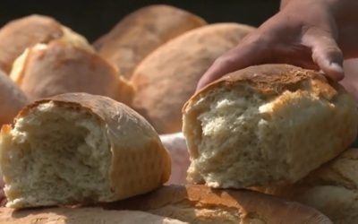 Banatul, regiune gastronomică EUROPEANĂ în 2028