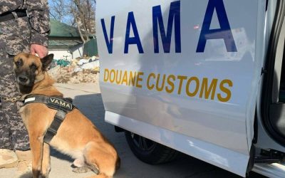 Vama Română, control major la importurile de alimente perisabile București – Autoritatea Vamală Română (AVR) a demarat o amplă operațiune de control, începând de luni, 6 aprilie 2026, pe principalele rute de transport din țară