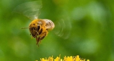 Cerul se va schimba: soare dimineața, nori după-amiaza și ploi spre seară Astăzi, vremea va fi schimbătoare, cu perioade de soare și nori, urmate de posibilitatea apariției ploii