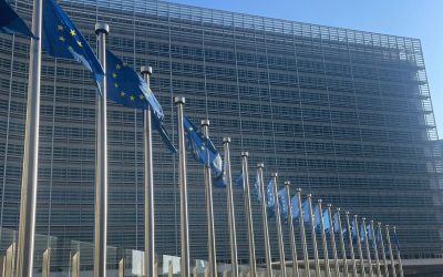 Google, pusă la zid! UE cere soluții pentru datele de căutare