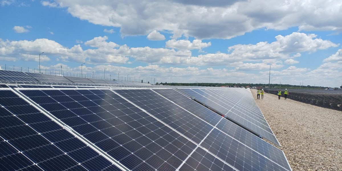 Băieții „deștepți” din energie vând parcuri solare pe OLX. Autoritățile, pe cale să intervină?