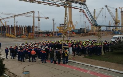 Șantierul Naval Damen Mangalia intră în faliment: Peste 1000 de angajați își pierd locurile de muncă Șantierul Naval Damen din Mangalia se confruntă cu o situație dramatică