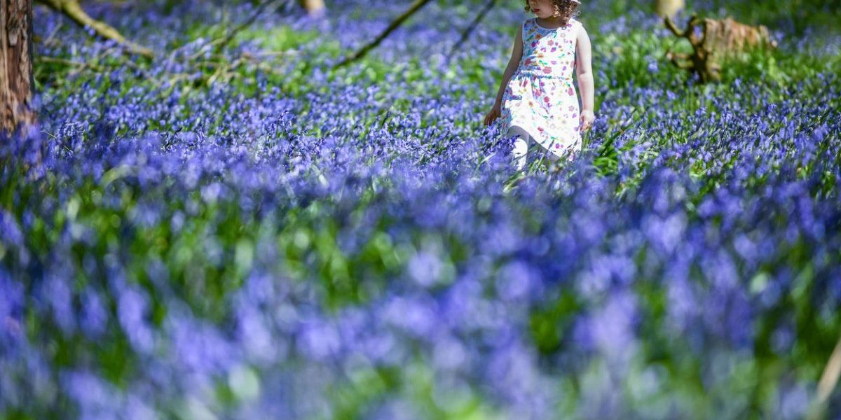 Vreme neobișnuită: Meteorologii anunță temperaturi peste media perioadei în România