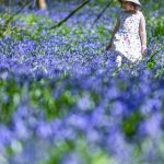 Vreme neobișnuită: Meteorologii anunță temperaturi peste media perioadei în România