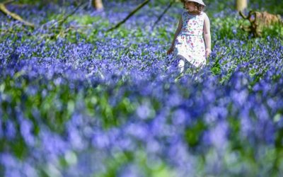 Vreme neobișnuită: Meteorologii anunță temperaturi peste media perioadei în România