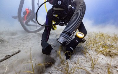 Fragment din Partenon, recuperat după două secole din epava navei „Mentor” a lui Lord Elgin O descoperire de senzație a fost făcută în Marea Egee: un fragment dintr-o sculptură de la Partenon a fost recuperat, pentru prima dată în peste două sute de ani, din epava navei „Mentor”, aparținând lui Lord ELGIN