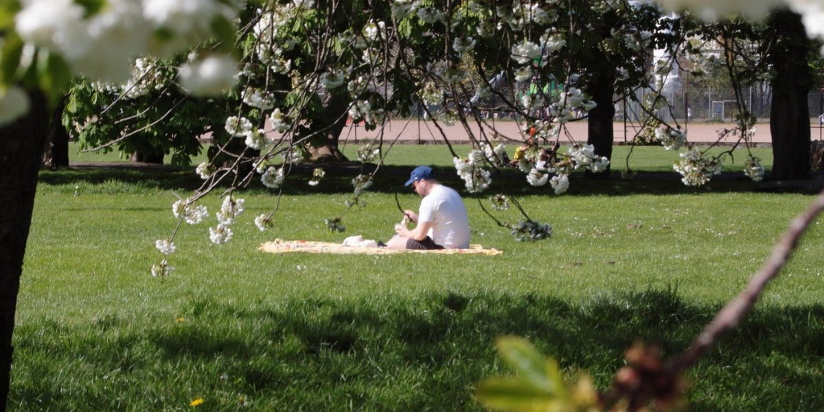 Meteorologii anunță: Cum va fi VREMEA de 1 Mai și estimări pe 4 săptămâni