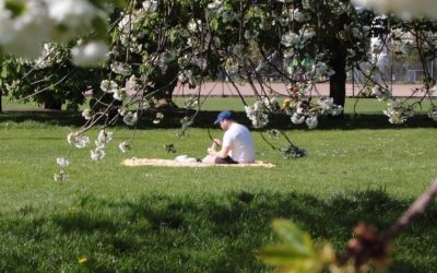 Meteorologii anunță: Cum va fi VREMEA de 1 Mai și estimări pe 4 săptămâni