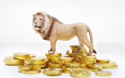 Euro, salt spectaculos: Cursul BNR urcă vertiginos