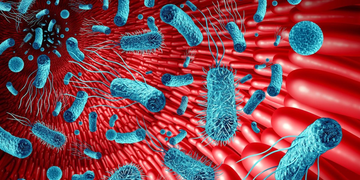 Intestinul, „al doilea creier”: Cum afectează microbiomul memoria și sănătatea