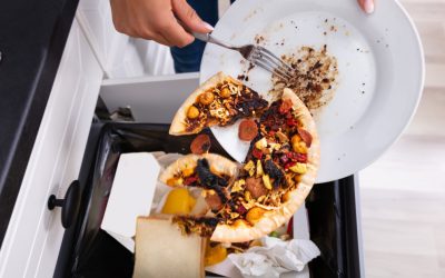 România aruncă anual 3,4 milioane tone de mâncare: Cum afectează mediul și economia