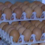 Ouă cu Salmonella: Alertă URIAȘĂ în prag de sărbători, 1,5 milioane retrase