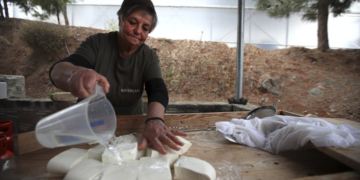 Halloumi în pericol: Epidemie mortală în Cipru, soluția la granița cu Turcia