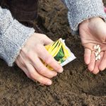 România, pe podiumul mondial: Țara care se poate hrăni singură