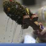 Agheasma Mică: Cum se ia corect de Izvorul Tămăduirii. Preoții, despre Vinerea Luminată