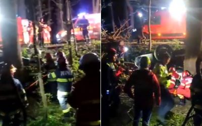 Șoc la Snagov de Paște: Doi tineri, morți după impactul cu un copac