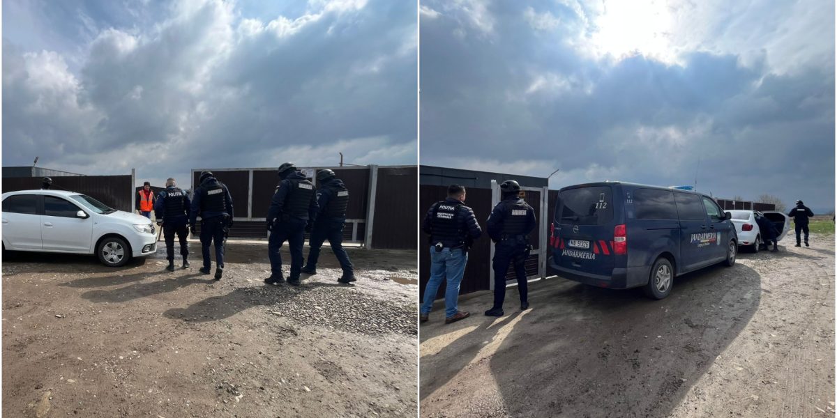 Percheziții la Primăria Berchișești și adăpostul de câini, într-un dosar de eutanasiere ilegală Joi, autoritățile au efectuat percheziții la locuința primarului comunei Berchișești, Violeta Țăran, și la adăpostul de câini gestionat de fiul acesteia, Cătălin Țăran