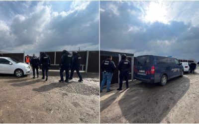 Ancheta Șoc: Câini eutanasiați ilegal? Suspiciuni grave zguduie România