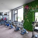 Spitalul Sf. Sava, succes în recuperare, intră în rețeaua europeană Affidea