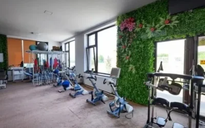 Spitalul Sf. Sava, succes în recuperare, intră în rețeaua europeană Affidea