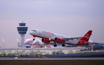 AnimaWings lansează zboruri directe către Atena din Timișoara și Cluj-Napoca Compania aeriană românească AnimaWings a inaugurat zboruri directe către Atena, conectând orașele Timișoara și Cluj-Napoca cu capitala Greciei