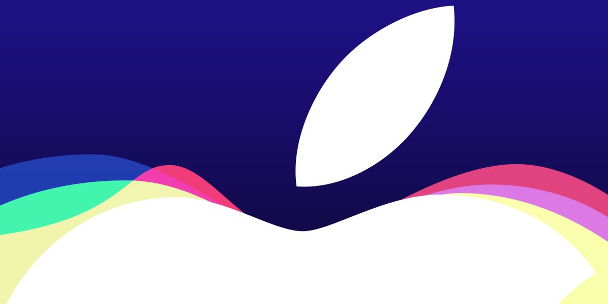 De la faliment la succes: Povestea uluitoare a Arena IT