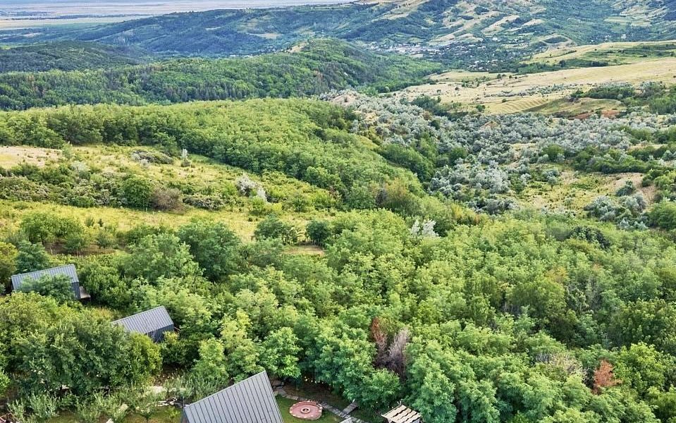 Arta Chalet: O oază de lux din Dealu Mare dezvăluie secretele sale