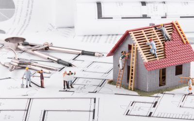 Lege pentru casa ta șî a vecinului: Regulile de AUR să eviți procesele