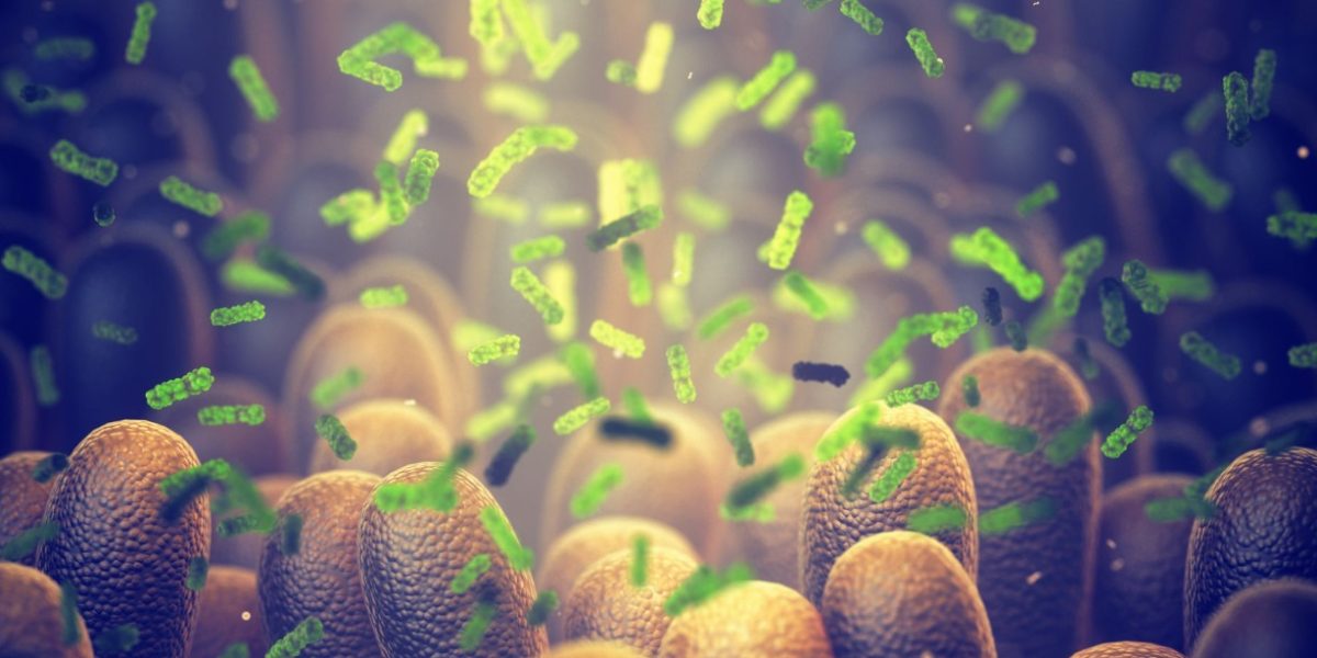 Bacterie „UCIGAȘĂ” dezvoltată de cercetători: Distruge tumorile din interior