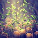 Bacterie „UCIGAȘĂ” dezvoltată de cercetători: Distruge tumorile din interior