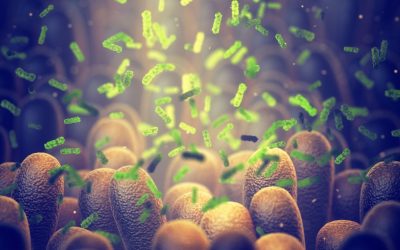 Bacterie „UCIGAȘĂ” dezvoltată de cercetători: Distruge tumorile din interior