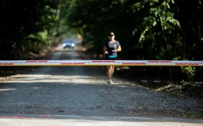 Romsilva închide drumul prin Pădurea Băneasa: Blocajul din Nordul Bucureștiului