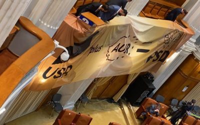 Miruță, despre AUR-ul care a dărâmat guvernul USR și cel care vrea cu PSD