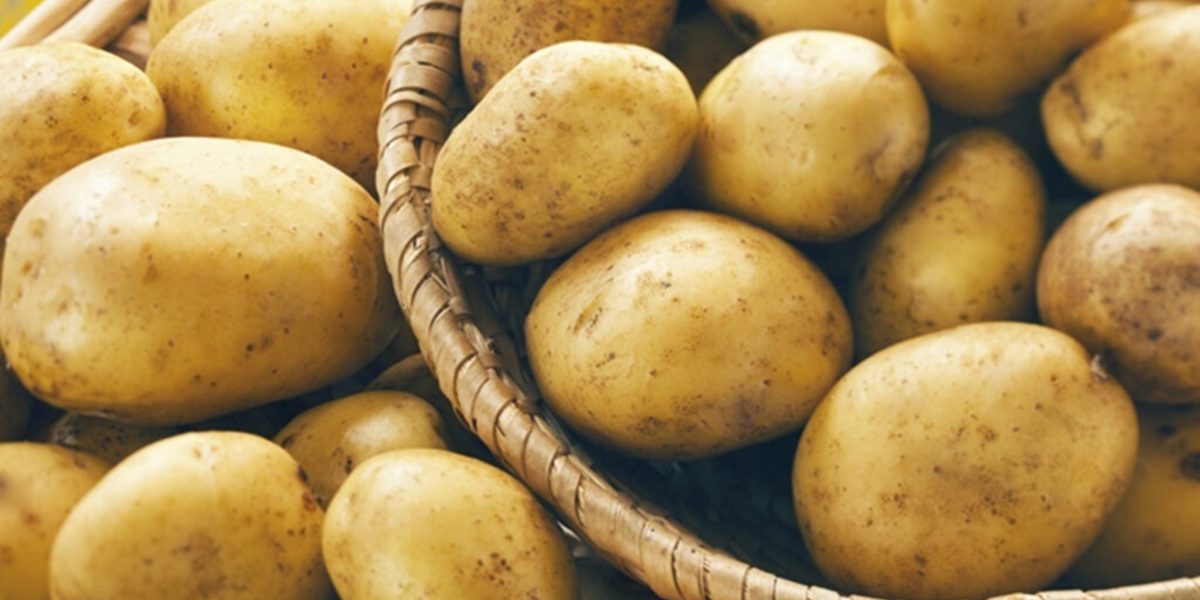 Donații consistente de cartofi pentru comunitățile vulnerabile din Vrancea Mai multe primării din județul Vrancea au primit donații importante de cartofi, menite să sprijine persoanele aflate în nevoie