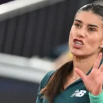 Cîrstea, KO la Rouen: Abandon dramatic înaintea semifinalelor