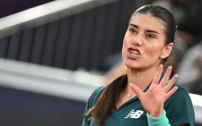 Cîrstea, KO la Rouen: Abandon dramatic înaintea semifinalelor