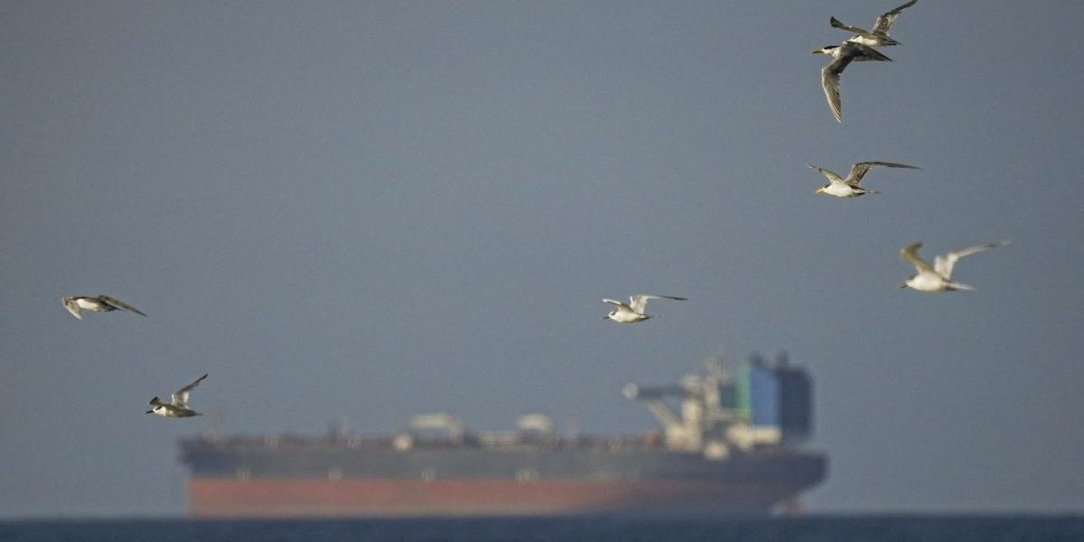 Blocada navală în Strâmtoarea Ormuz: Cum ar putea funcționa, pe înțelesul tuturor