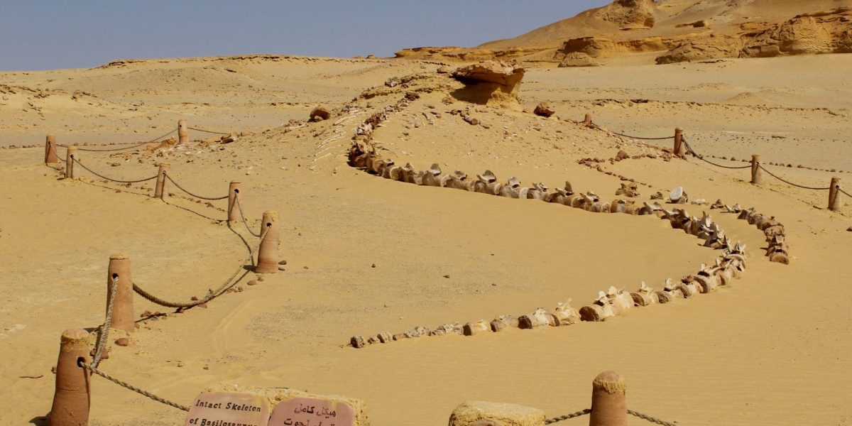 Evenimentul misterios care a doborât Vechiul Regat Egiptean acum 4200 de ani