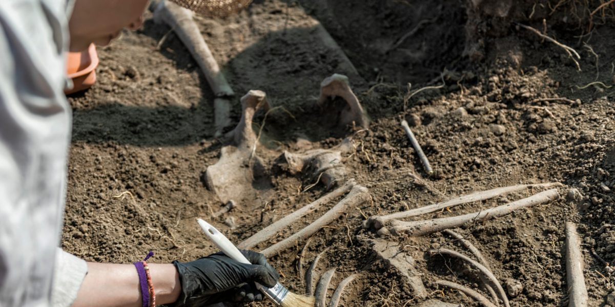 Antichitate Șocantă: Oameni dispăruți acum 100.000 de ani, dezvăluiți de peisaj