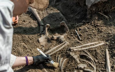 Antichitate Șocantă: Oameni dispăruți acum 100.000 de ani, dezvăluiți de peisaj